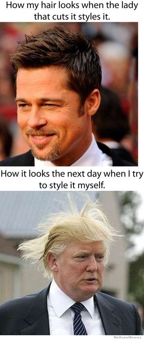 16 donald trump hair memes so funny you'll actually be grateful he's ffa45500 f761 0132 f411 0e18518aac2f?w=614&fit=max&auto=format&q=70 16 donald trump hair memes so funny you'll actually be grateful he's